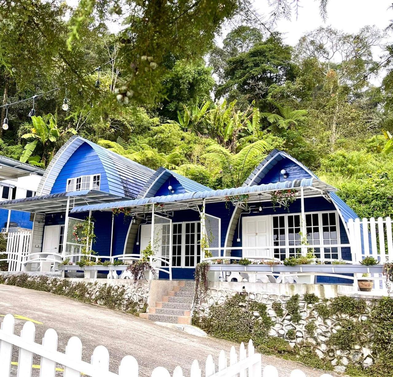 Blue Cabins By Pfordten Cottage Камерън Хайлендс Екстериор снимка